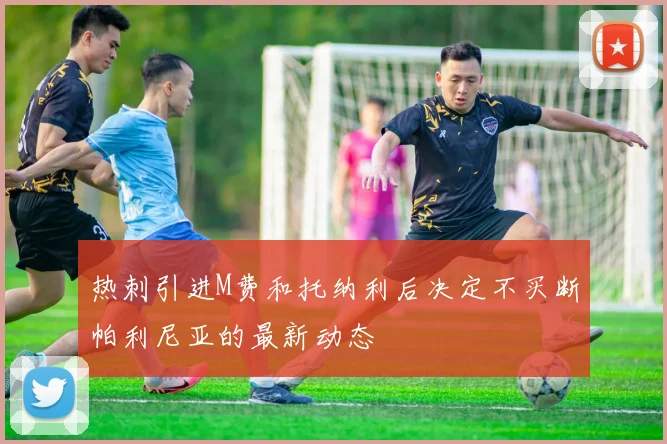 热刺引进M费和托纳利后决定不买断帕利尼亚的最新动态